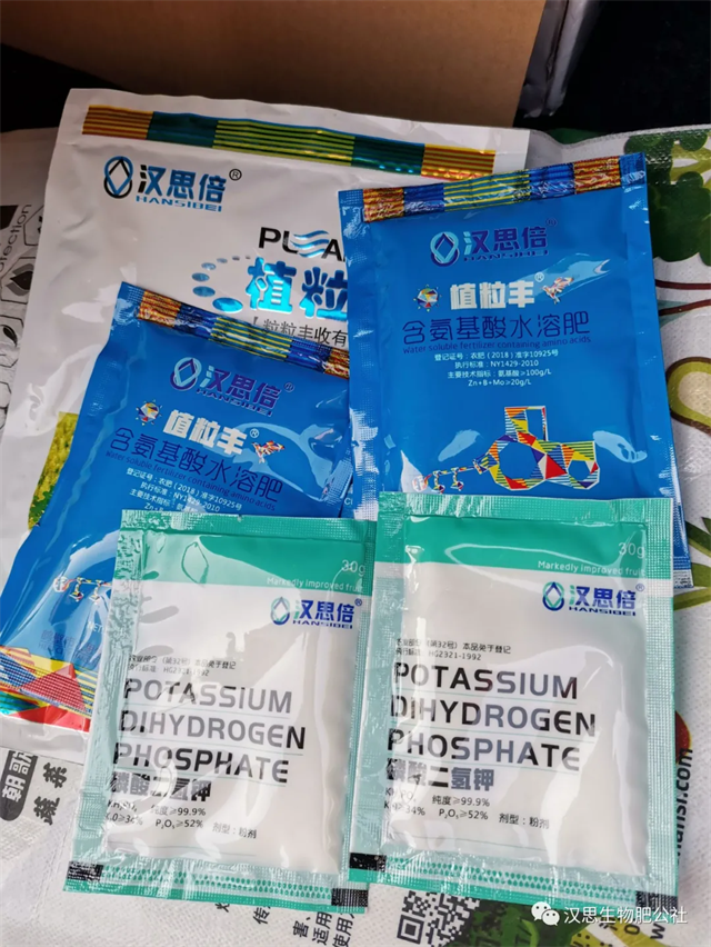 當(dāng)磷酸二氫鉀遇上氨基酸水溶肥，“黃金搭檔”增產(chǎn)很輕松產(chǎn)很輕松